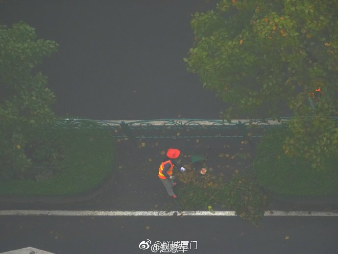 你愿轉(zhuǎn)發(fā)嗎？向這些“美麗花朵” 的環(huán)衛(wèi)工人 ，致敬勞動(dòng)者 [心]