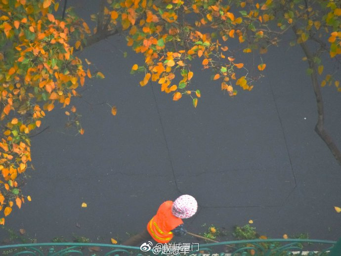 你愿轉(zhuǎn)發(fā)嗎？向這些“美麗花朵” 的環(huán)衛(wèi)工人 ，致敬勞動(dòng)者 [心]