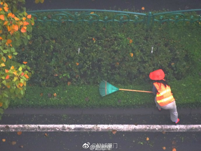 你愿轉(zhuǎn)發(fā)嗎？向這些“美麗花朵” 的環(huán)衛(wèi)工人 ，致敬勞動(dòng)者 [心]