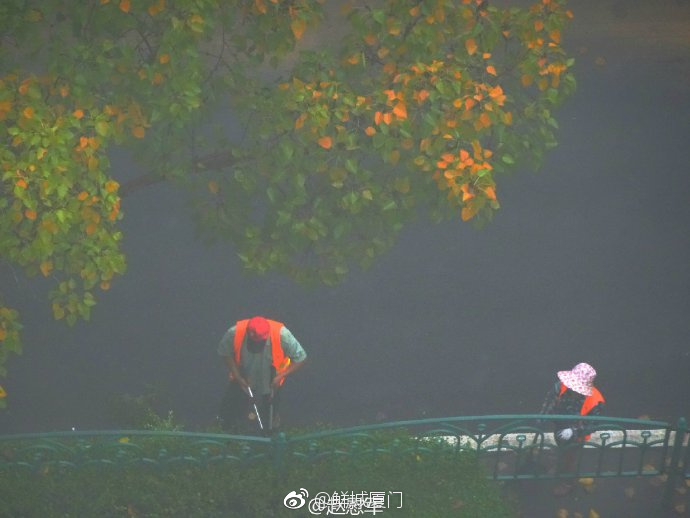 你愿轉(zhuǎn)發(fā)嗎？向這些“美麗花朵” 的環(huán)衛(wèi)工人 ，致敬勞動(dòng)者 [心]