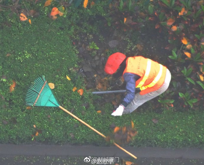 你愿轉(zhuǎn)發(fā)嗎？向這些“美麗花朵” 的環(huán)衛(wèi)工人 ，致敬勞動(dòng)者 [心]