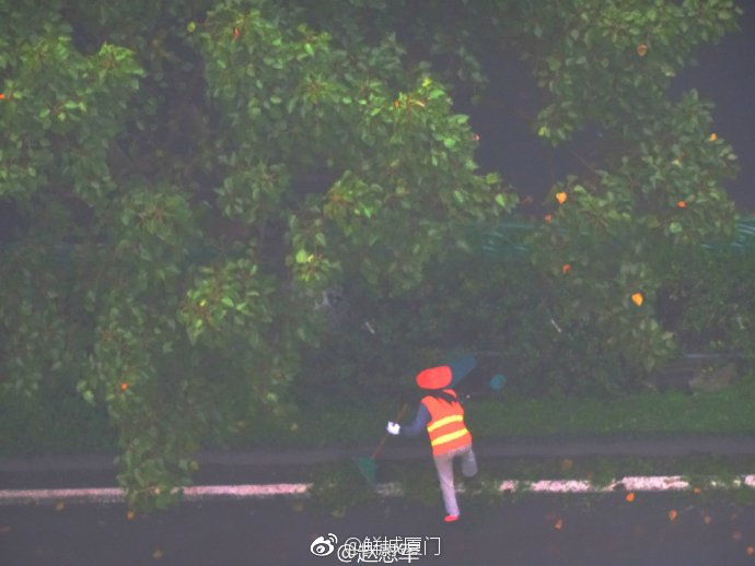 你愿轉(zhuǎn)發(fā)嗎？向這些“美麗花朵” 的環(huán)衛(wèi)工人 ，致敬勞動(dòng)者 [心]