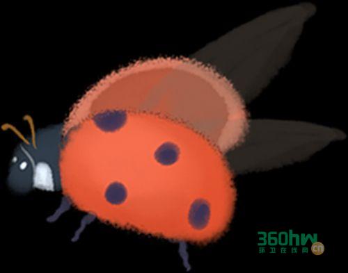 b1266f59-349c-4b9e-8b40-abc5cdd5f0b3.png